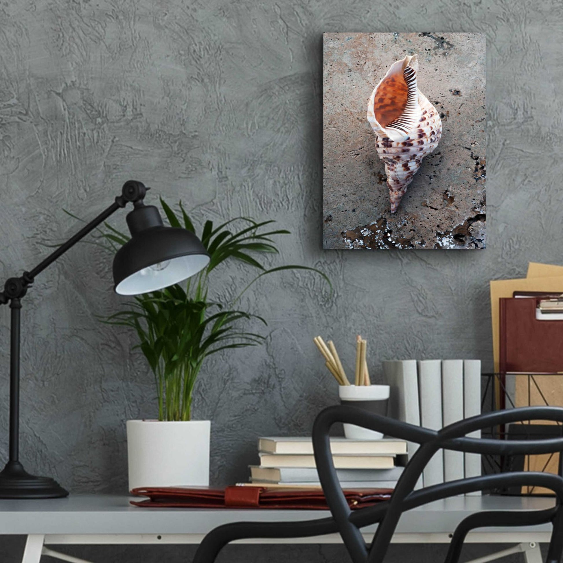 Epic Art 'Spotted Conch Shell' by Elena Ray, Acrylic Glass Wall Art,12x16