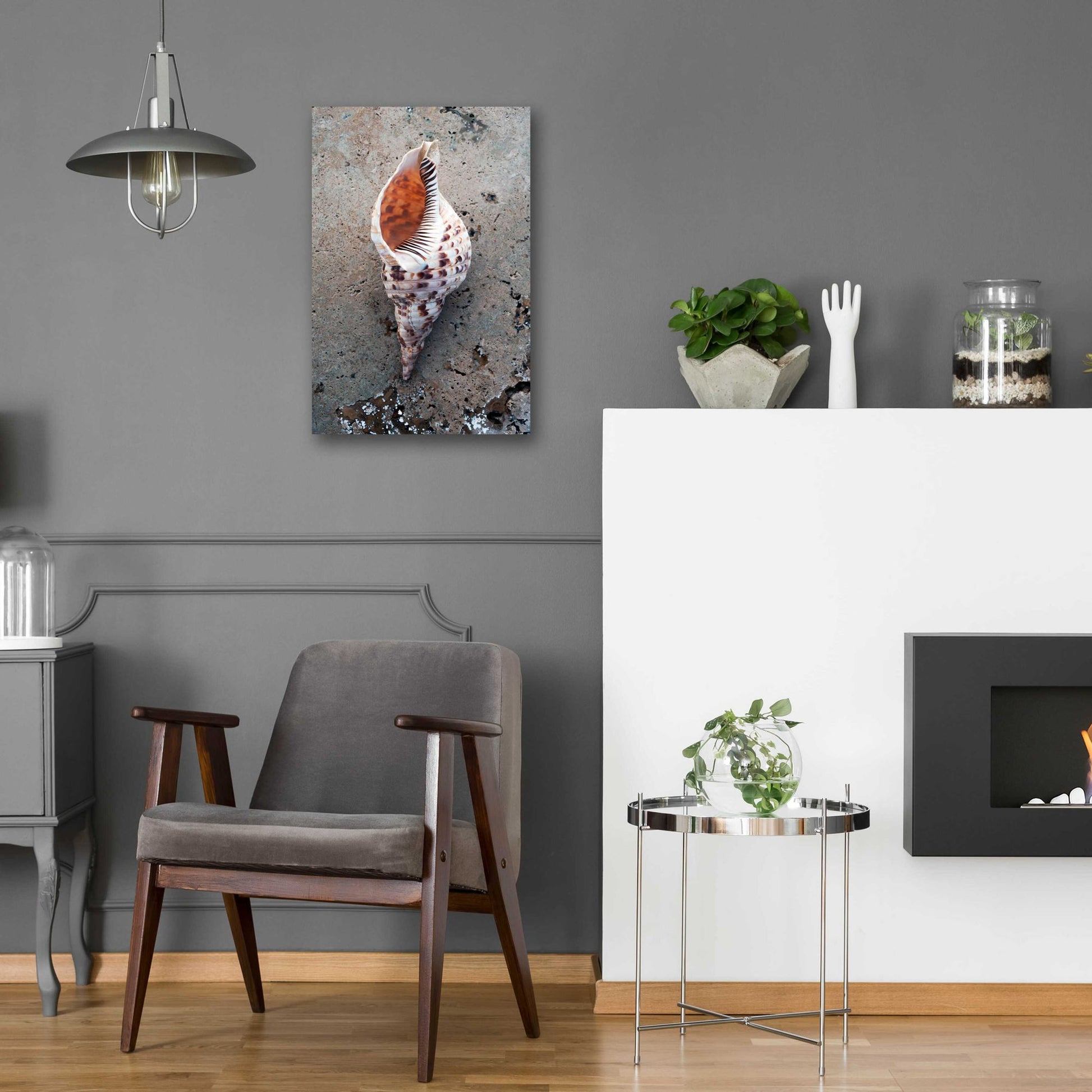 Epic Art 'Spotted Conch Shell' by Elena Ray, Acrylic Glass Wall Art,16x24