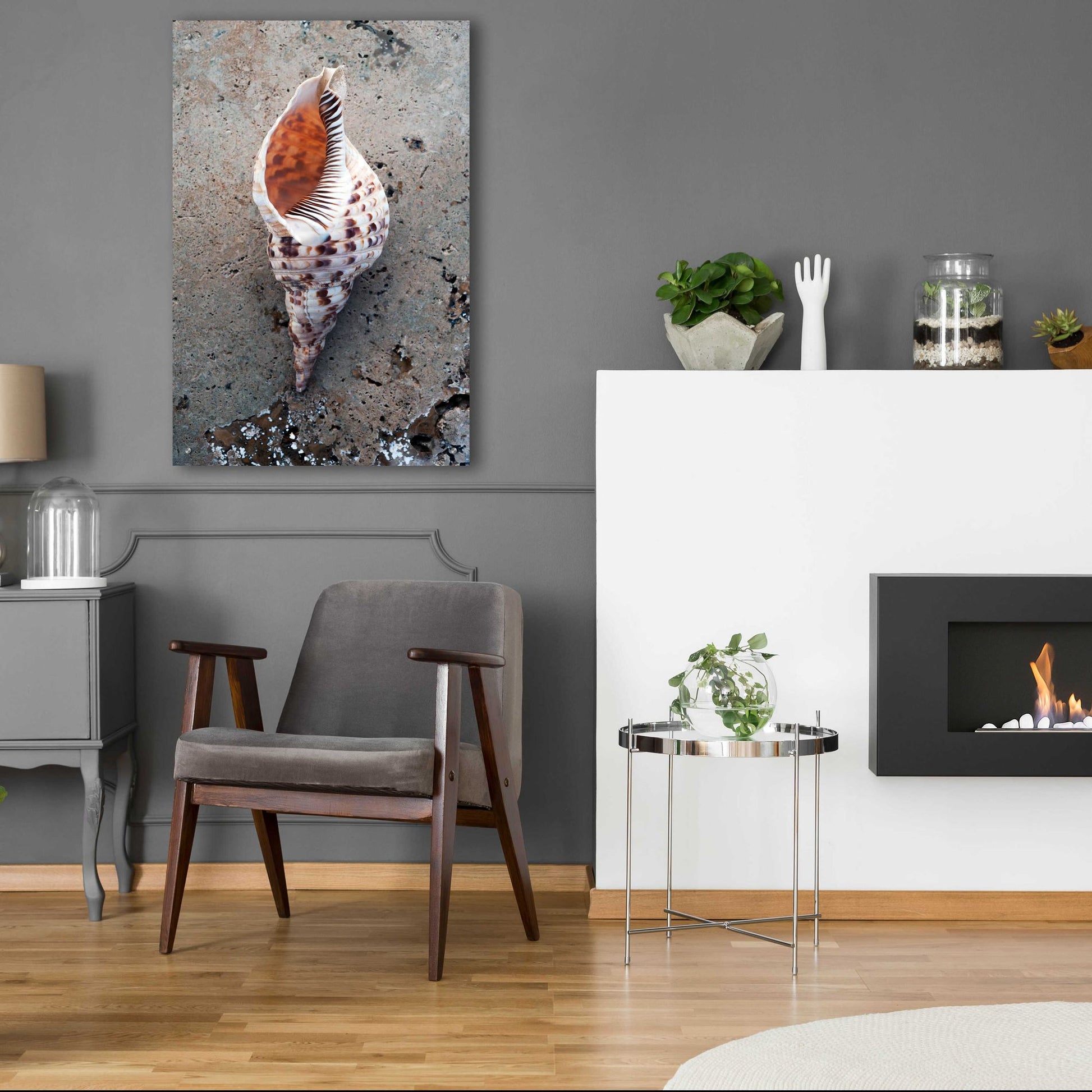 Epic Art 'Spotted Conch Shell' by Elena Ray, Acrylic Glass Wall Art,24x36