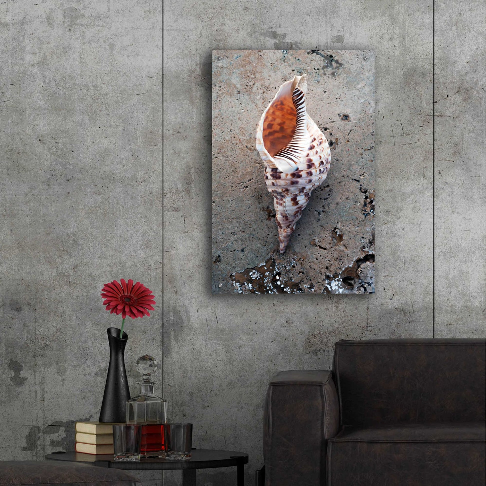 Epic Art 'Spotted Conch Shell' by Elena Ray, Acrylic Glass Wall Art,24x36