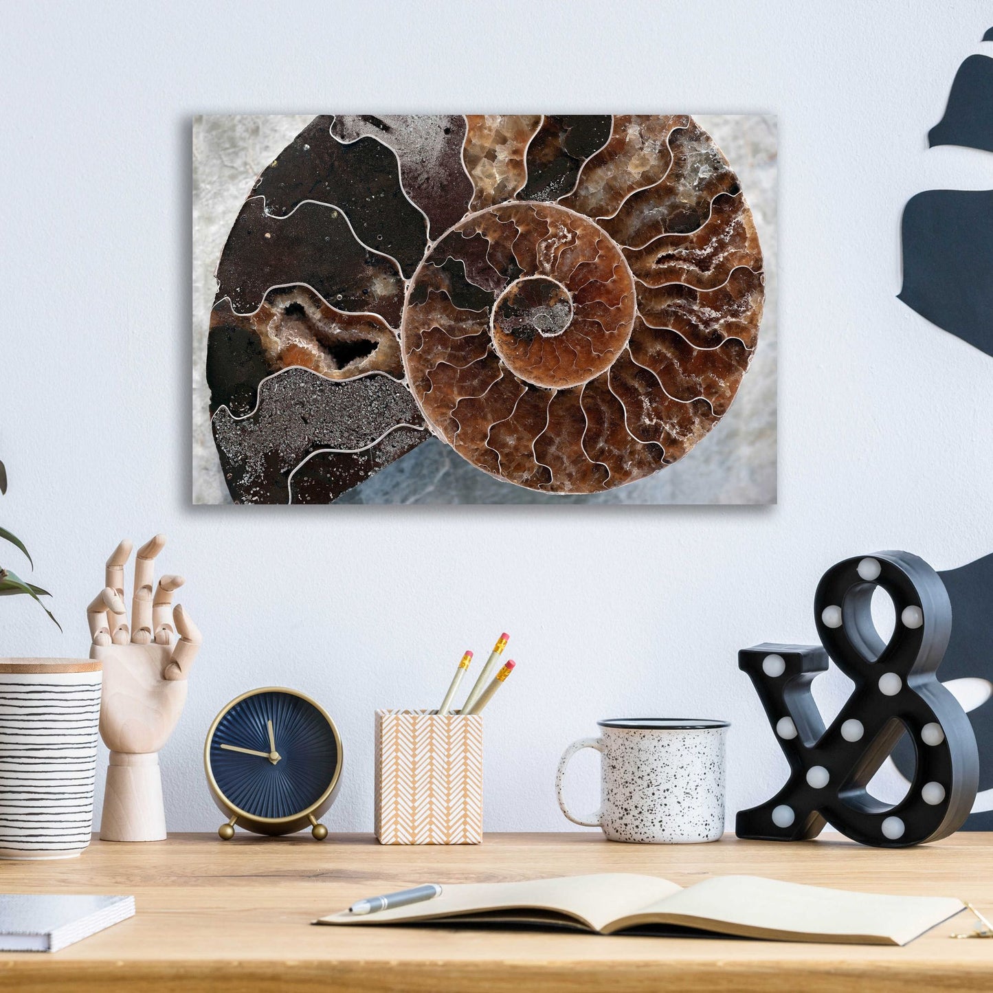 Epic Art 'Ammonite Spiral' by Elena Ray, Acrylic Glass Wall Art,16x12