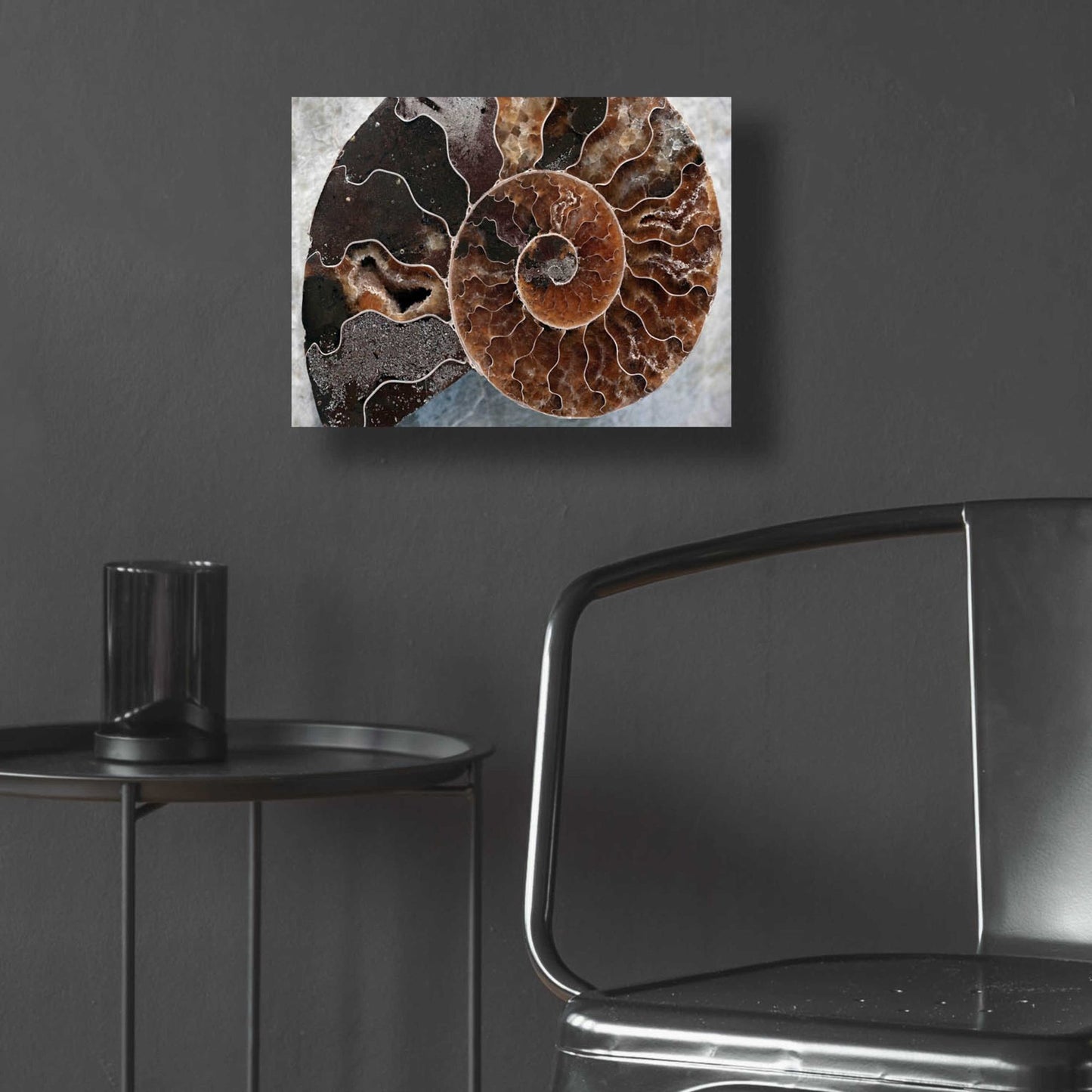 Epic Art 'Ammonite Spiral' by Elena Ray, Acrylic Glass Wall Art,16x12