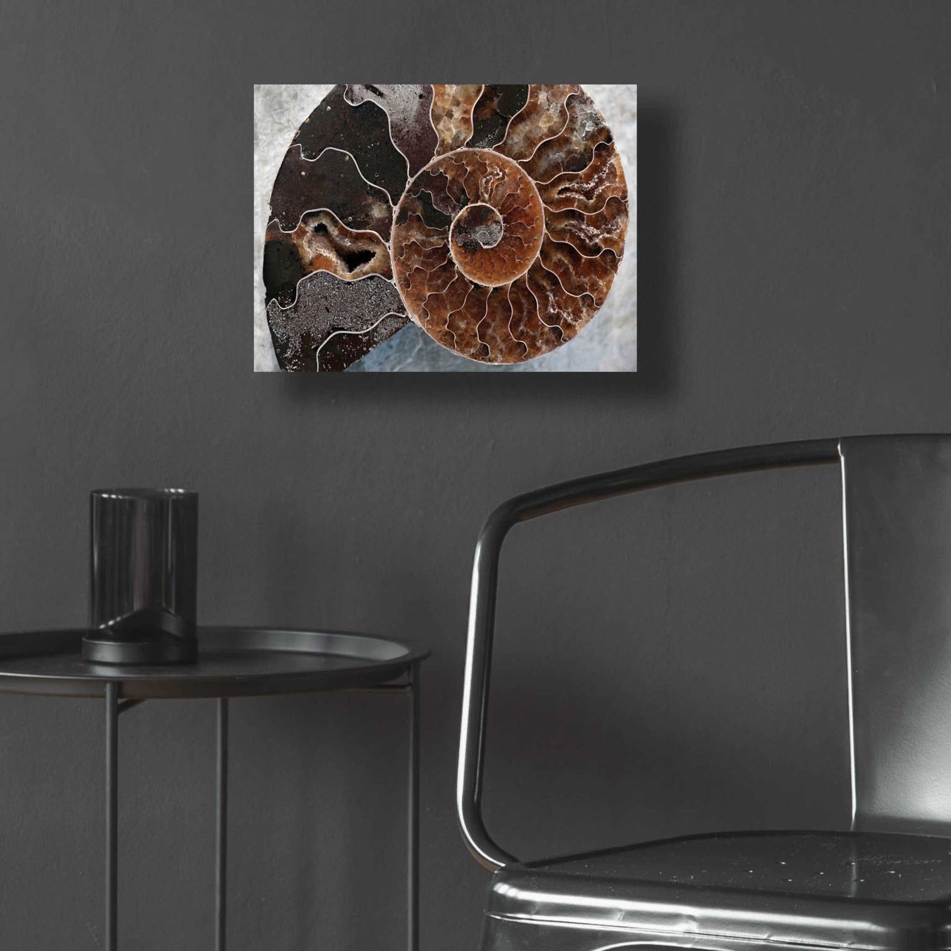 Epic Art 'Ammonite Spiral' by Elena Ray, Acrylic Glass Wall Art,16x12