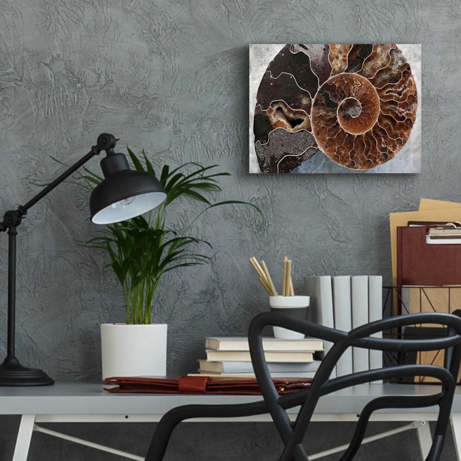 Epic Art 'Ammonite Spiral' by Elena Ray, Acrylic Glass Wall Art,16x12