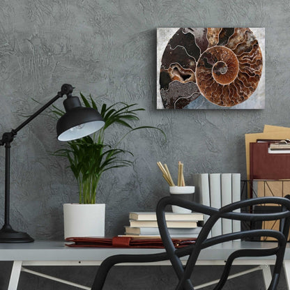 Epic Art 'Ammonite Spiral' by Elena Ray, Acrylic Glass Wall Art,16x12