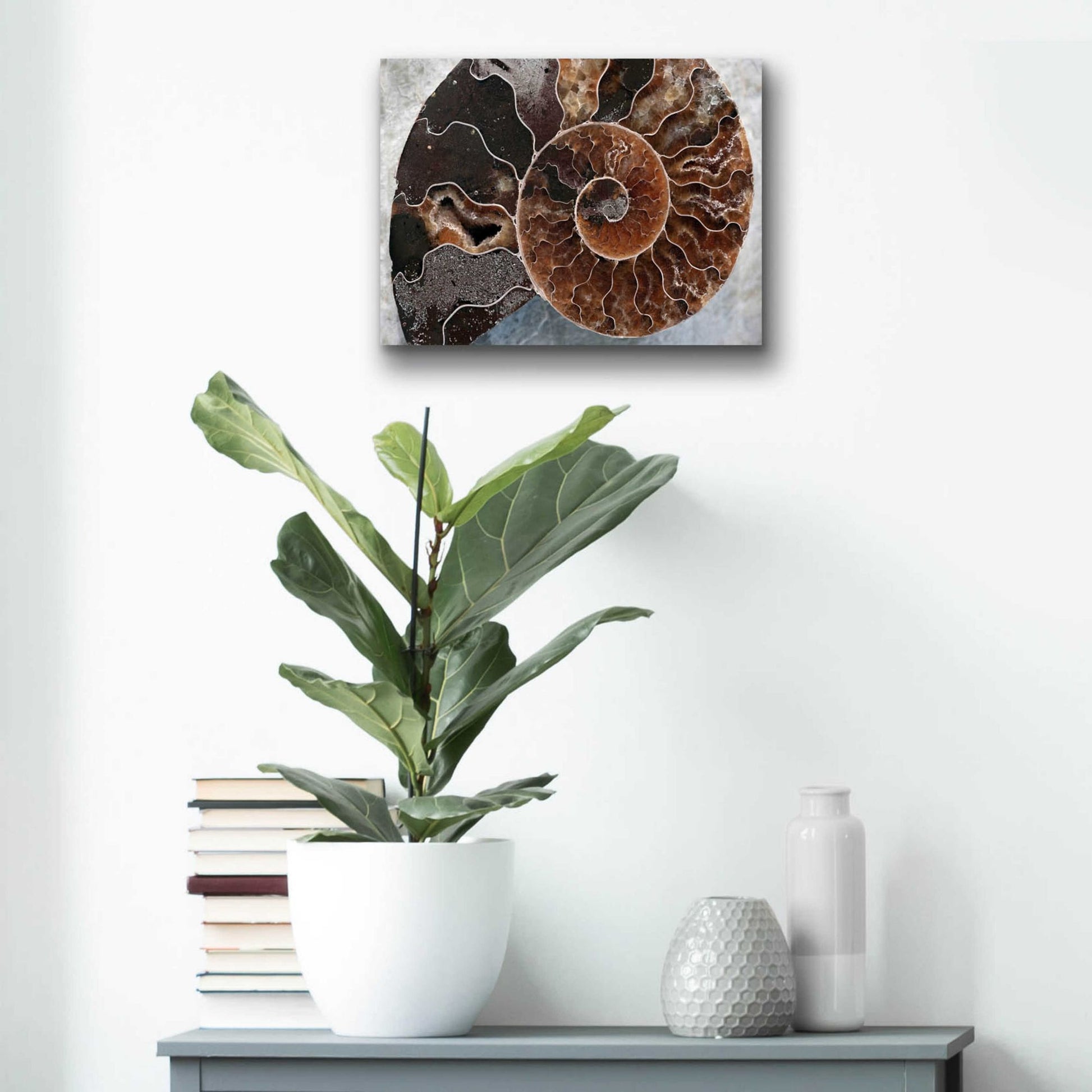 Epic Art 'Ammonite Spiral' by Elena Ray, Acrylic Glass Wall Art,16x12