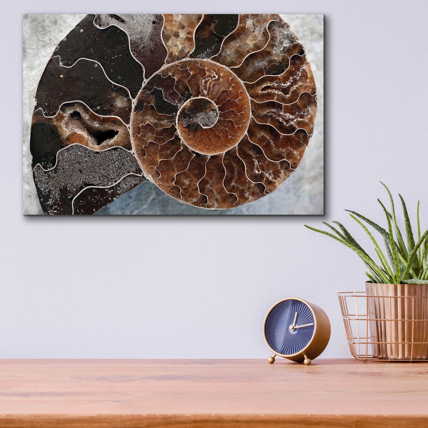 Epic Art 'Ammonite Spiral' by Elena Ray, Acrylic Glass Wall Art,16x12