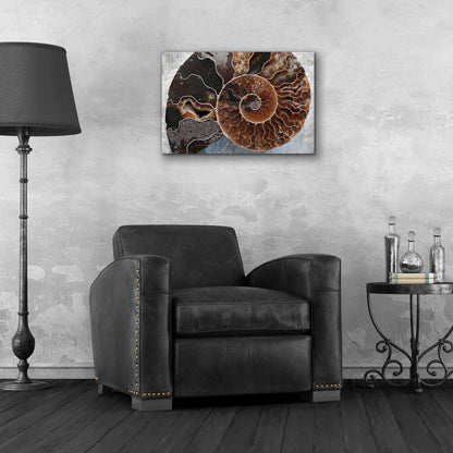 Epic Art 'Ammonite Spiral' by Elena Ray, Acrylic Glass Wall Art,24x16