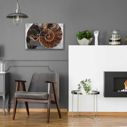 Epic Art 'Ammonite Spiral' by Elena Ray, Acrylic Glass Wall Art,24x16