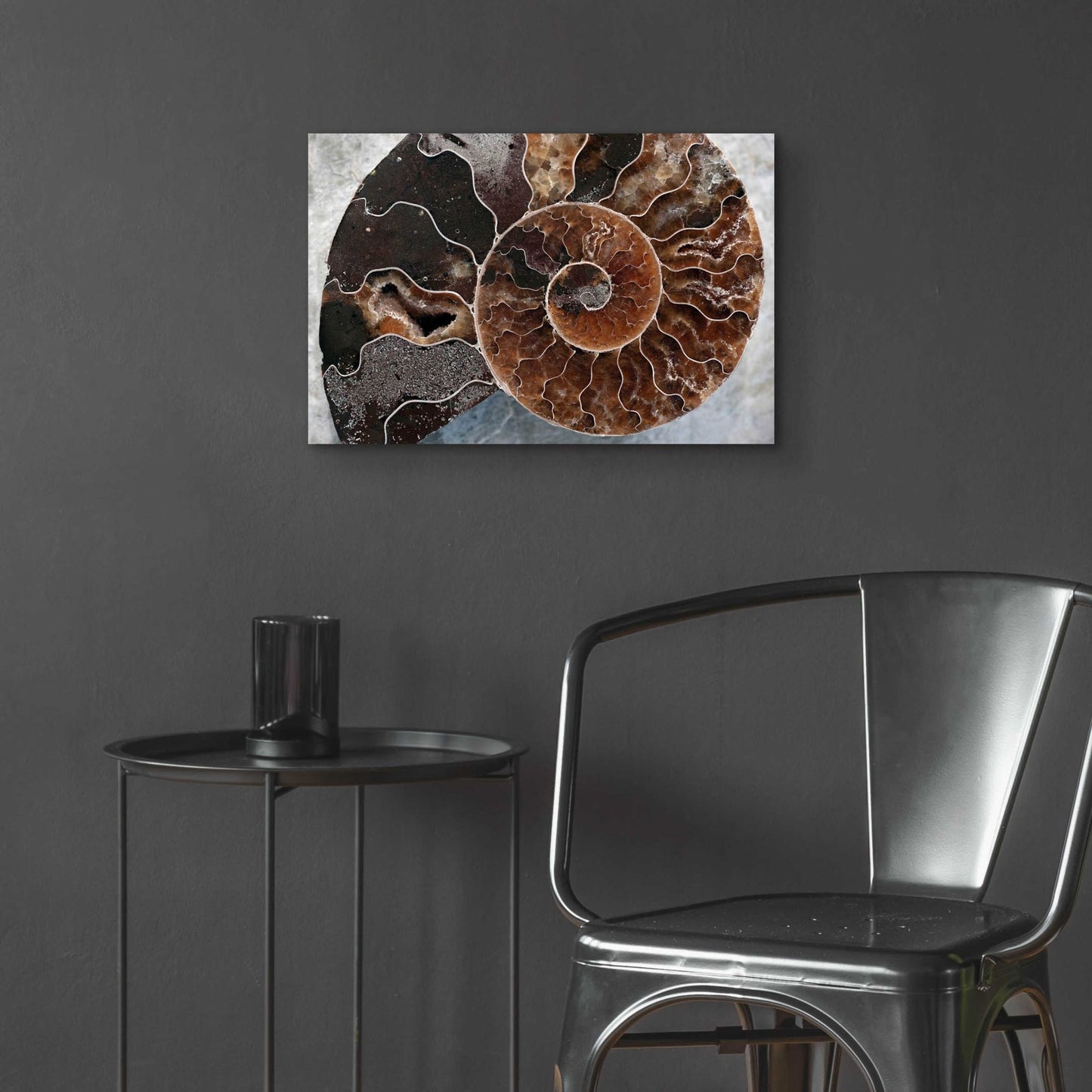 Epic Art 'Ammonite Spiral' by Elena Ray, Acrylic Glass Wall Art,24x16