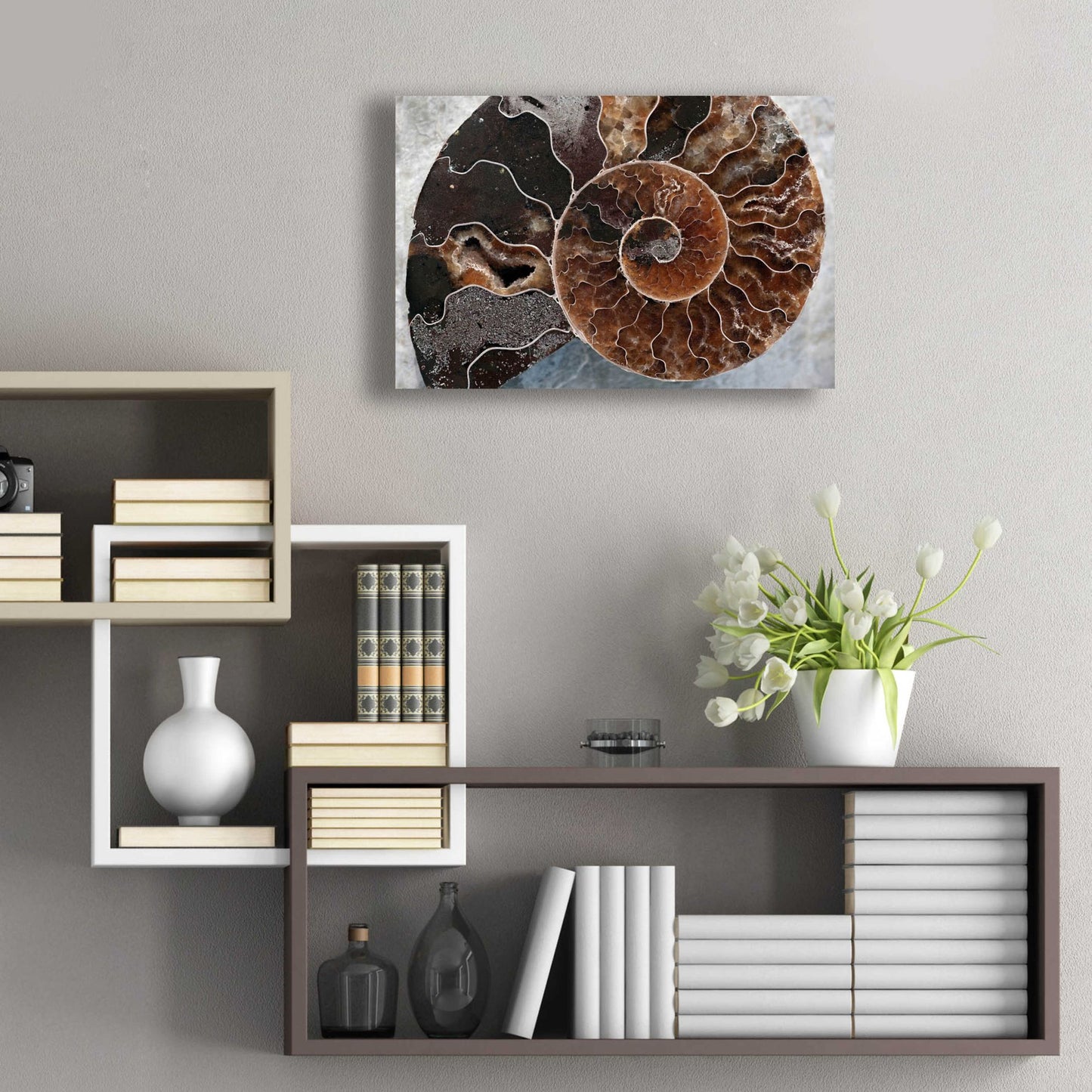 Epic Art 'Ammonite Spiral' by Elena Ray, Acrylic Glass Wall Art,24x16