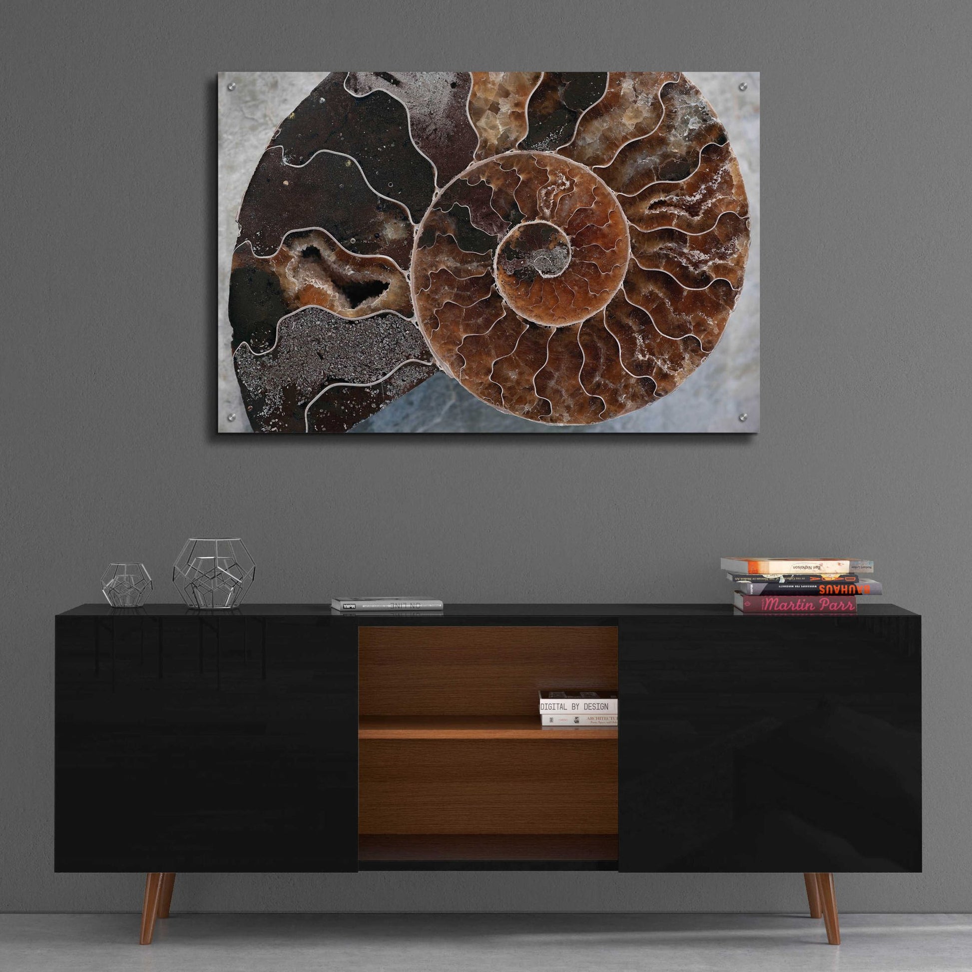 Epic Art 'Ammonite Spiral' by Elena Ray, Acrylic Glass Wall Art,36x24
