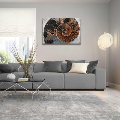 Epic Art 'Ammonite Spiral' by Elena Ray, Acrylic Glass Wall Art,36x24