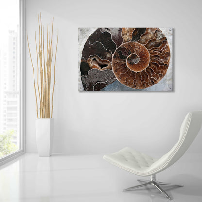 Epic Art 'Ammonite Spiral' by Elena Ray, Acrylic Glass Wall Art,36x24