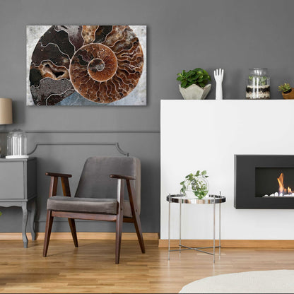 Epic Art 'Ammonite Spiral' by Elena Ray, Acrylic Glass Wall Art,36x24