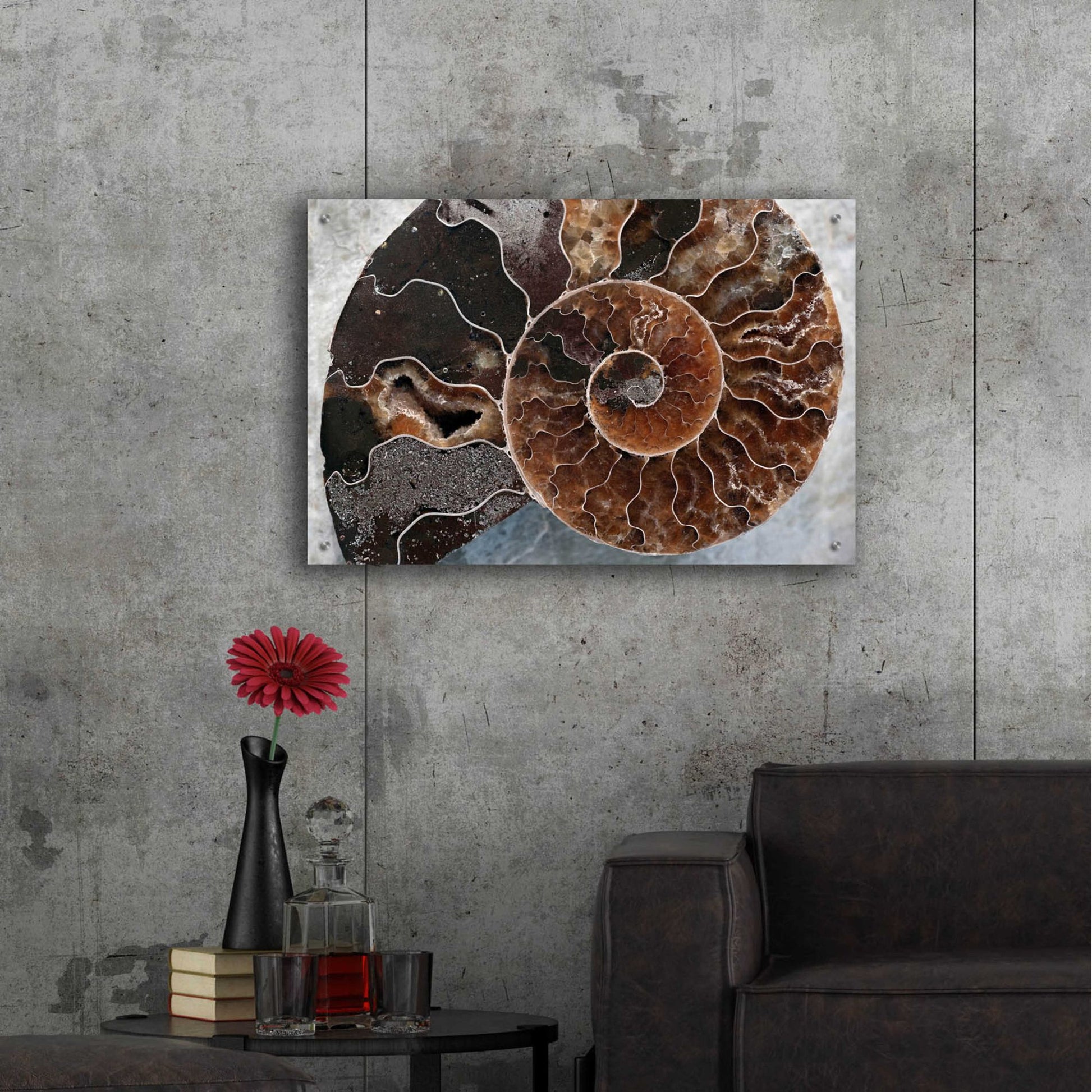 Epic Art 'Ammonite Spiral' by Elena Ray, Acrylic Glass Wall Art,36x24