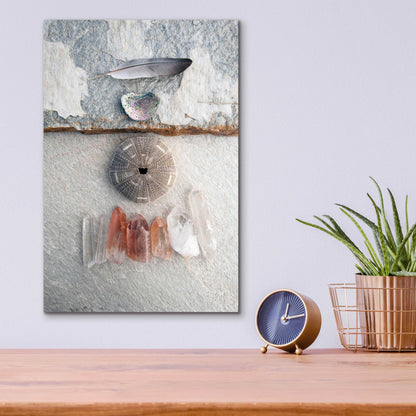 Epic Art 'Feather Ocean Earth Meditation' by Elena Ray, Acrylic Glass Wall Art,12x16