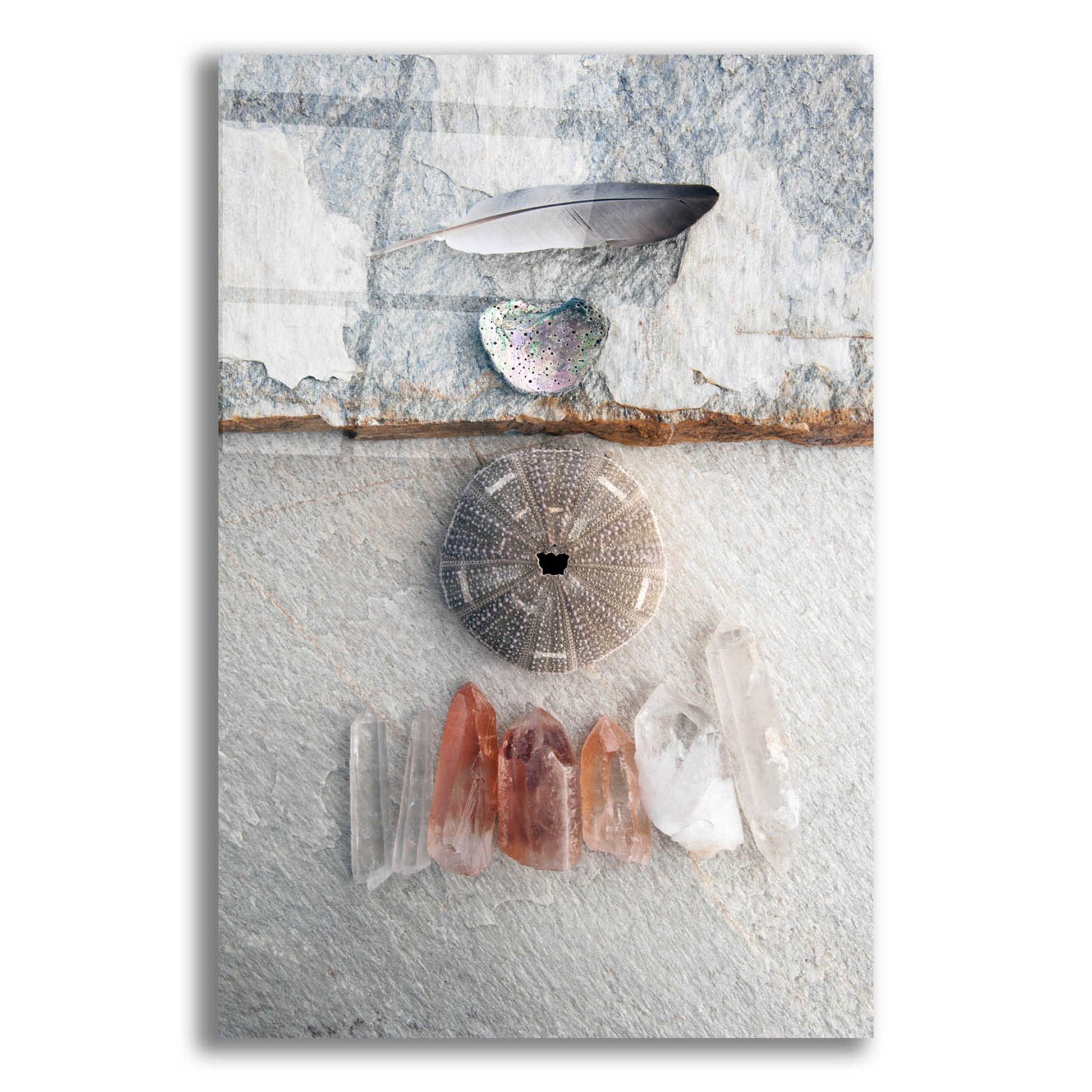 Epic Art 'Feather Ocean Earth Meditation' by Elena Ray, Acrylic Glass Wall Art