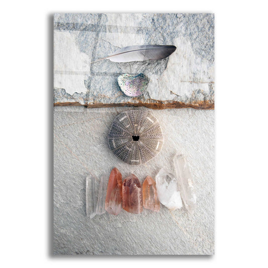 Epic Art 'Feather Ocean Earth Meditation' by Elena Ray, Acrylic Glass Wall Art