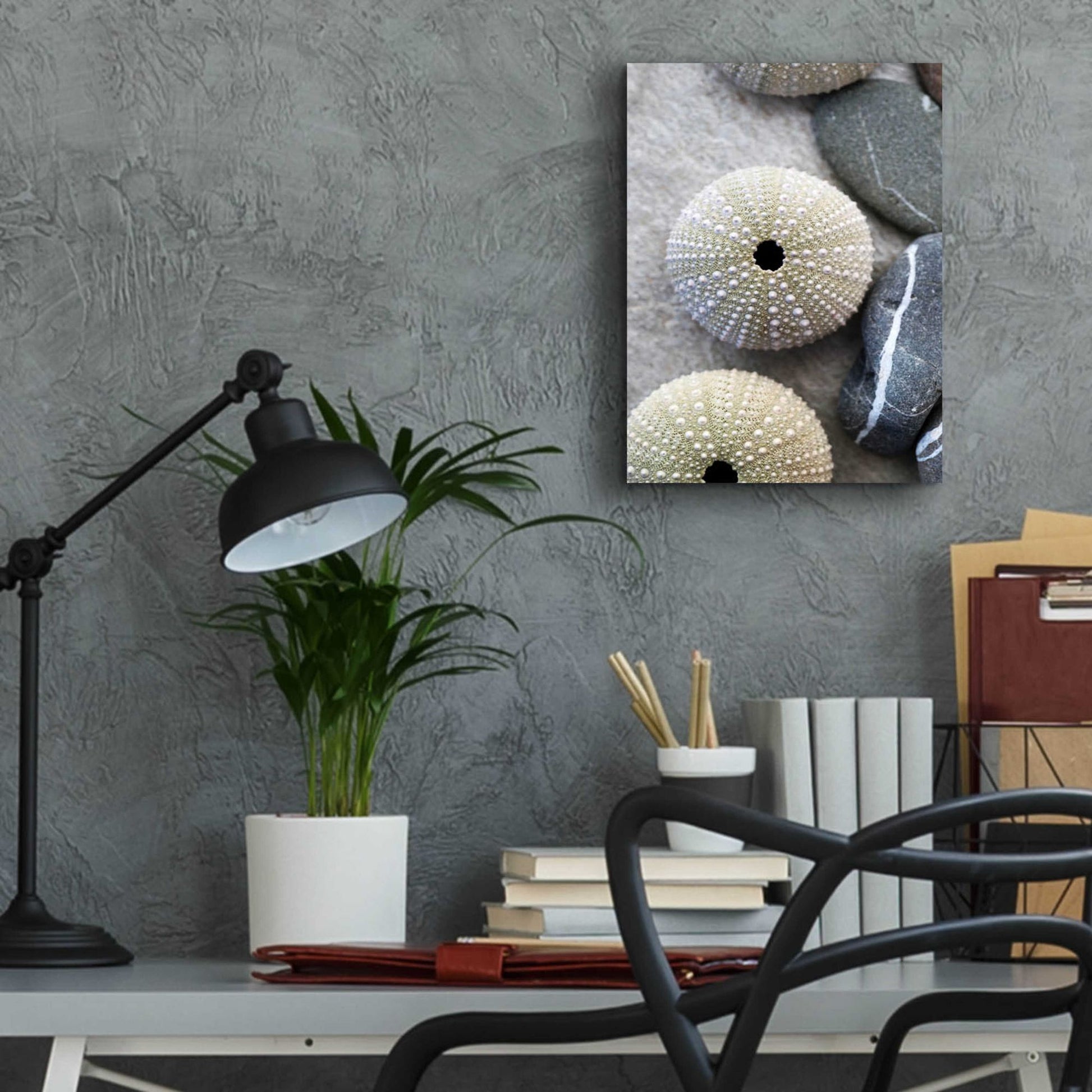 Epic Art 'Sea Urchins' by Elena Ray, Acrylic Glass Wall Art,12x16