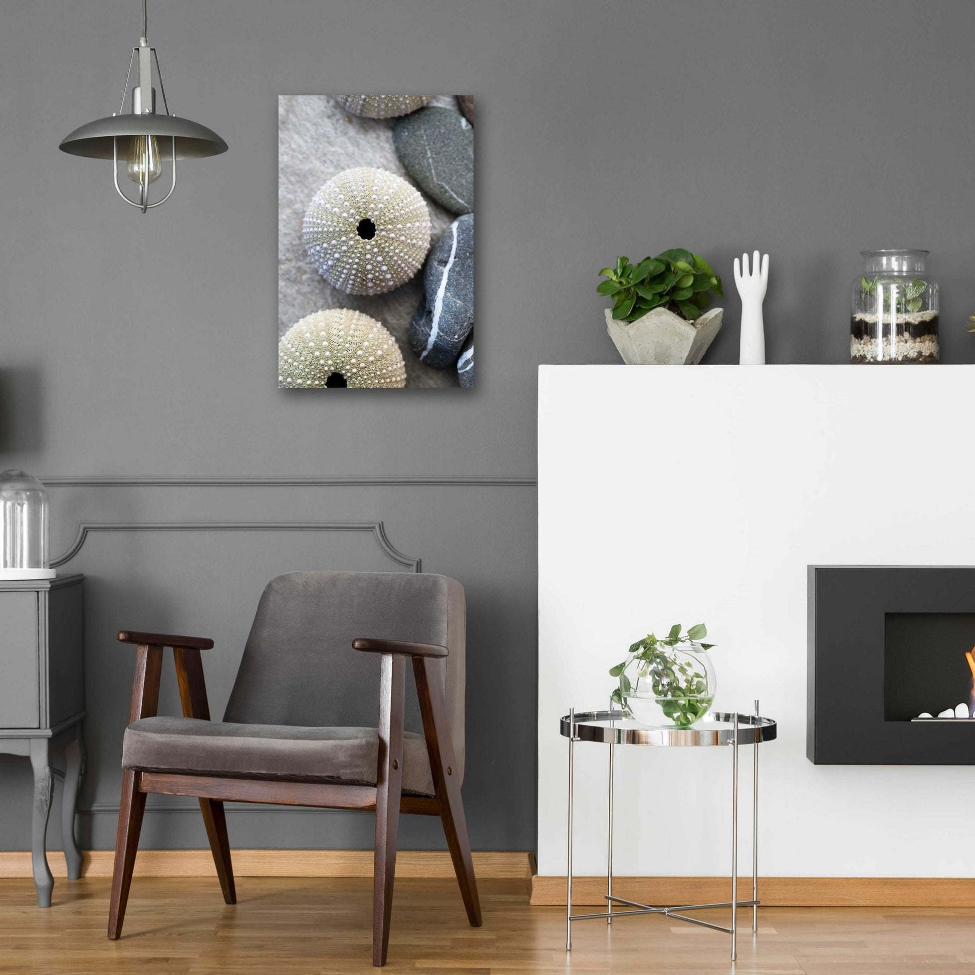 Epic Art 'Sea Urchins' by Elena Ray, Acrylic Glass Wall Art,16x24