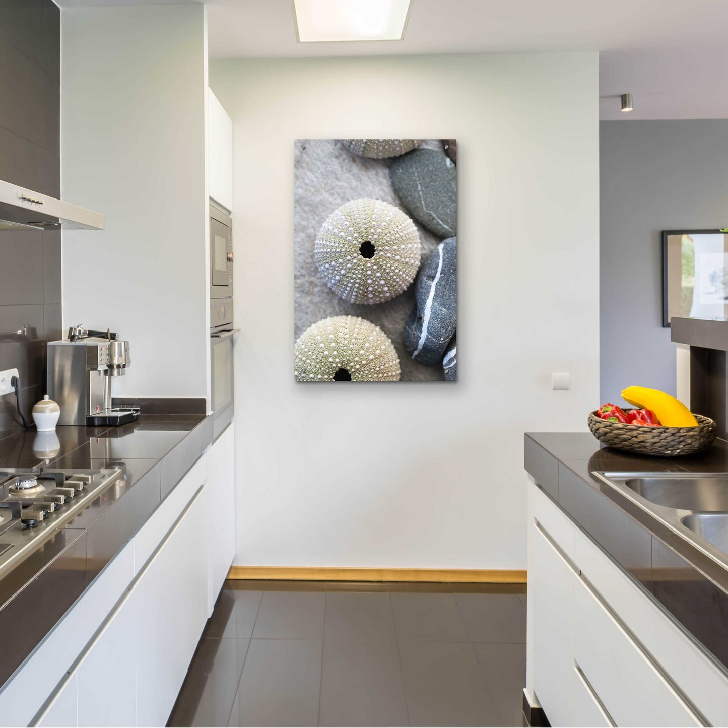 Epic Art 'Sea Urchins' by Elena Ray, Acrylic Glass Wall Art,24x36