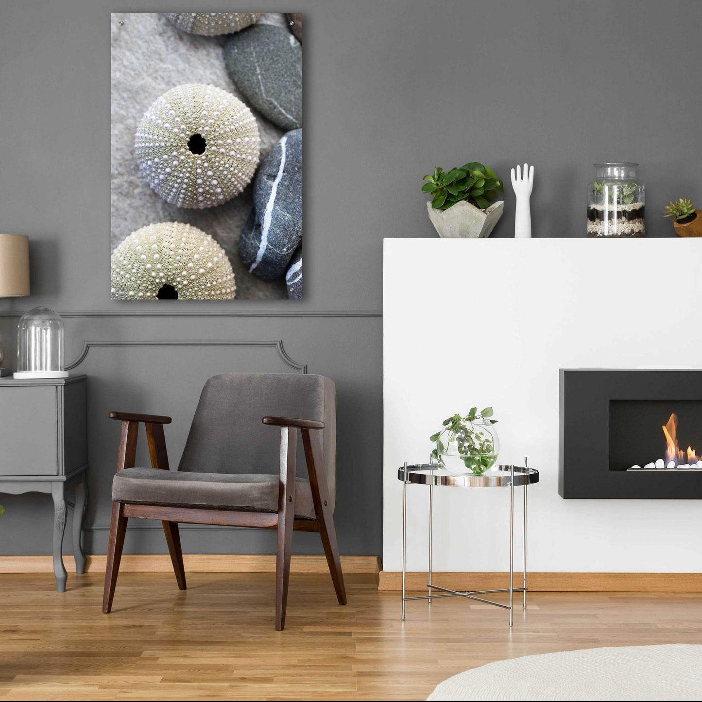 Epic Art 'Sea Urchins' by Elena Ray, Acrylic Glass Wall Art,24x36