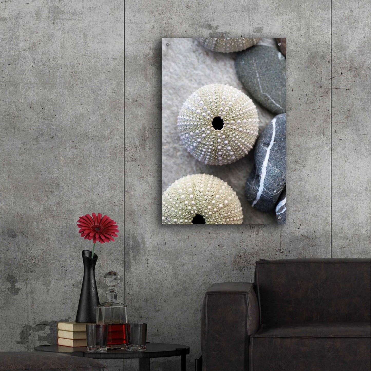 Epic Art 'Sea Urchins' by Elena Ray, Acrylic Glass Wall Art,24x36