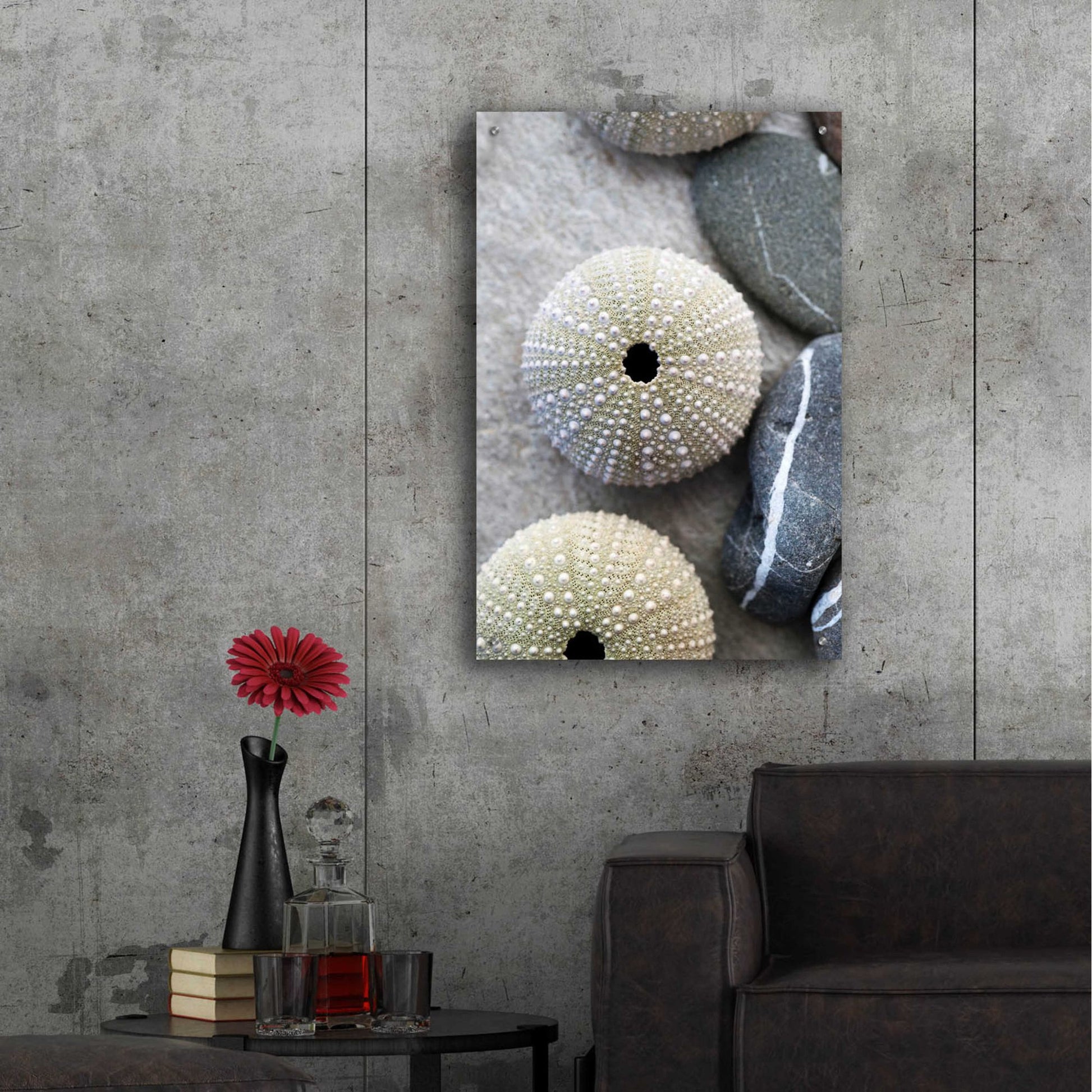 Epic Art 'Sea Urchins' by Elena Ray, Acrylic Glass Wall Art,24x36