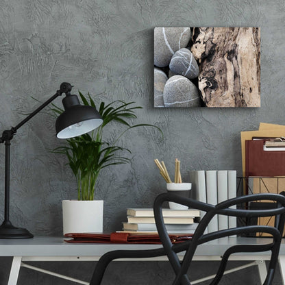 Epic Art 'Dirftwood and Beach Stones' by Elena Ray, Acrylic Glass Wall Art,16x12