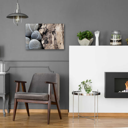 Epic Art 'Dirftwood and Beach Stones' by Elena Ray, Acrylic Glass Wall Art,24x16