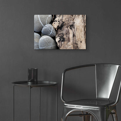 Epic Art 'Dirftwood and Beach Stones' by Elena Ray, Acrylic Glass Wall Art,24x16