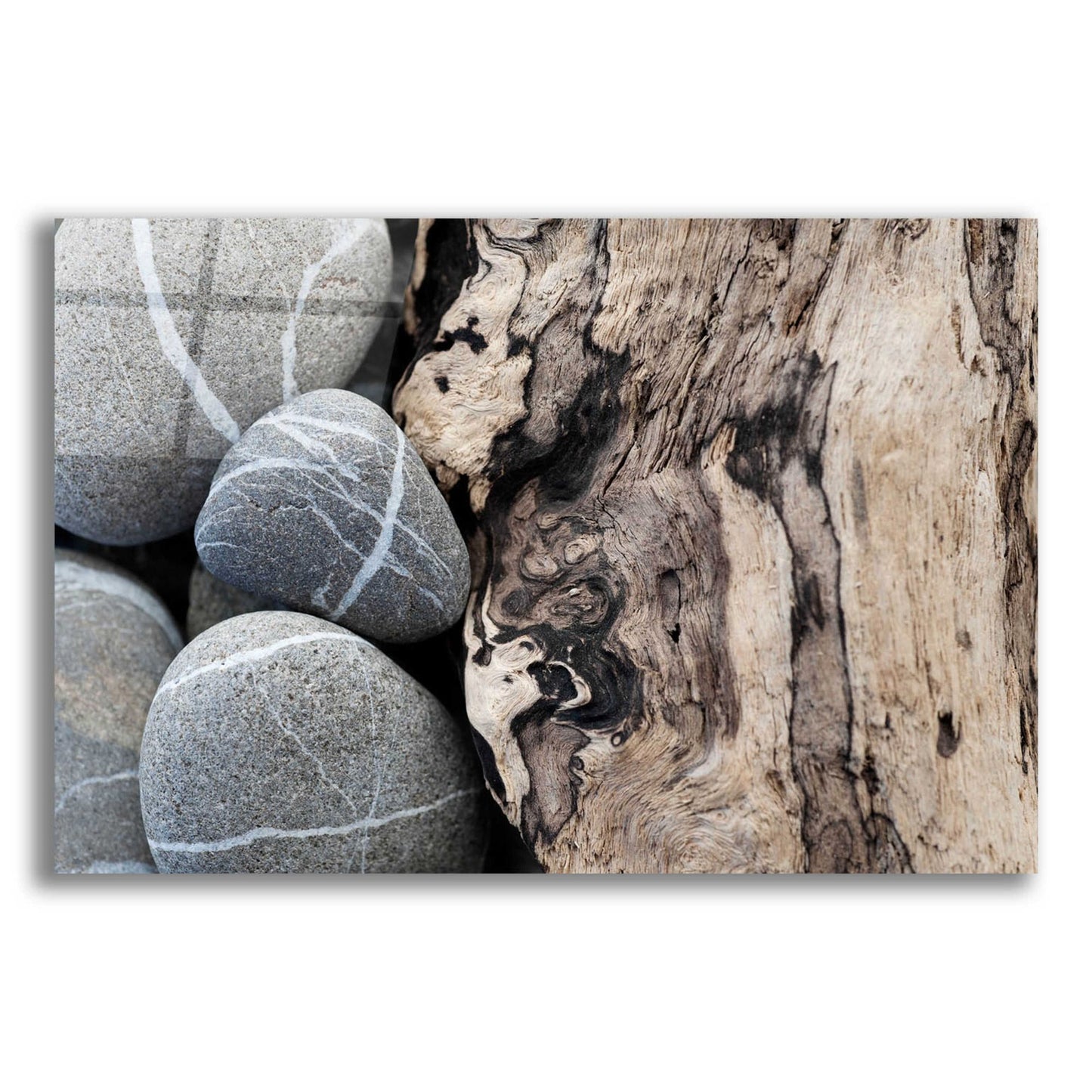 Epic Art 'Dirftwood and Beach Stones' by Elena Ray, Acrylic Glass Wall Art,24x16