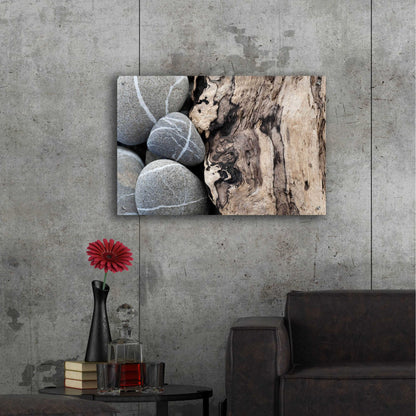 Epic Art 'Dirftwood and Beach Stones' by Elena Ray, Acrylic Glass Wall Art,36x24