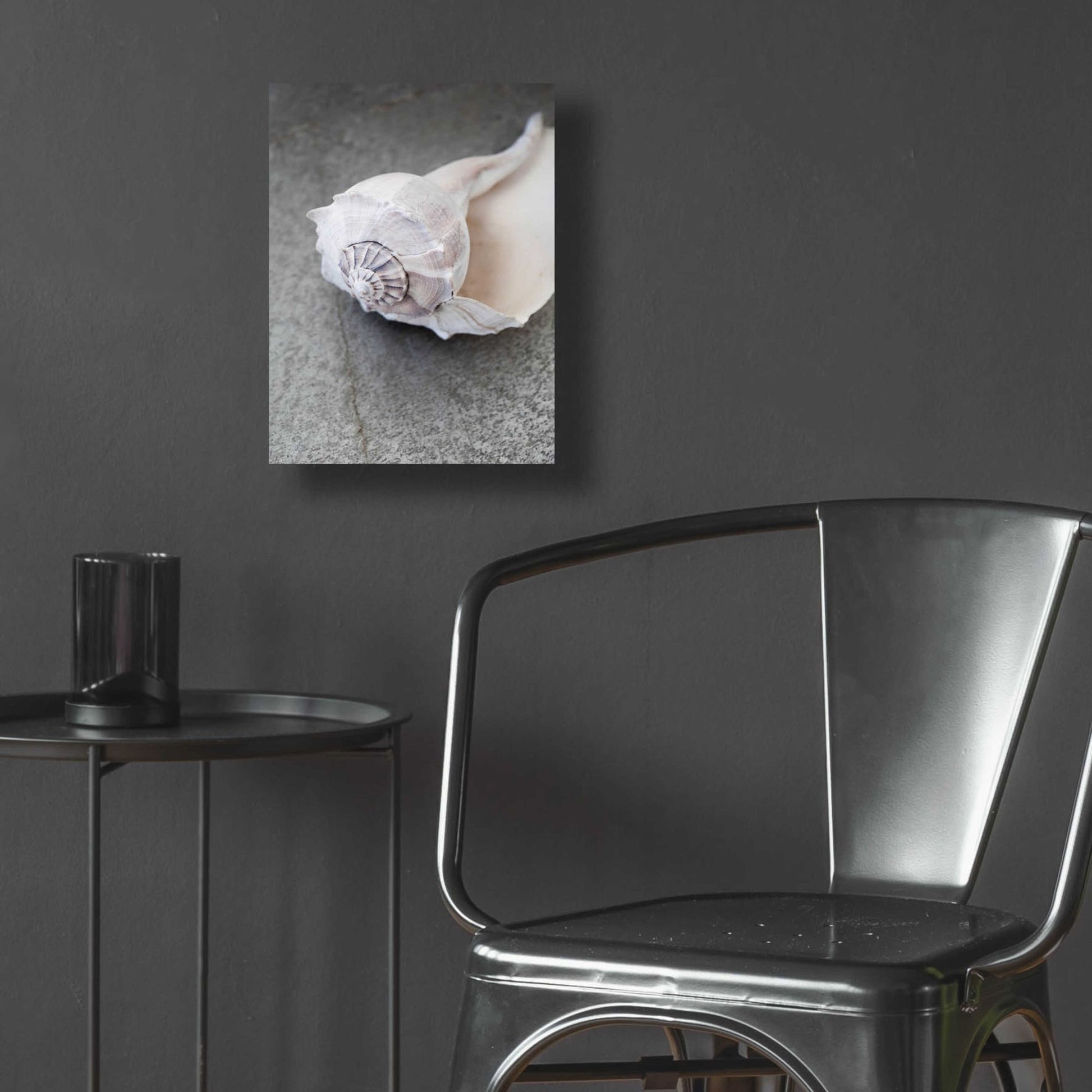 Epic Art 'Conch on Grey Stone' by Elena Ray, Acrylic Glass Wall Art,12x16