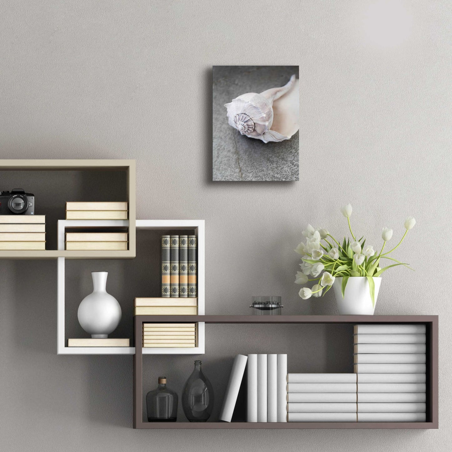 Epic Art 'Conch on Grey Stone' by Elena Ray, Acrylic Glass Wall Art,12x16