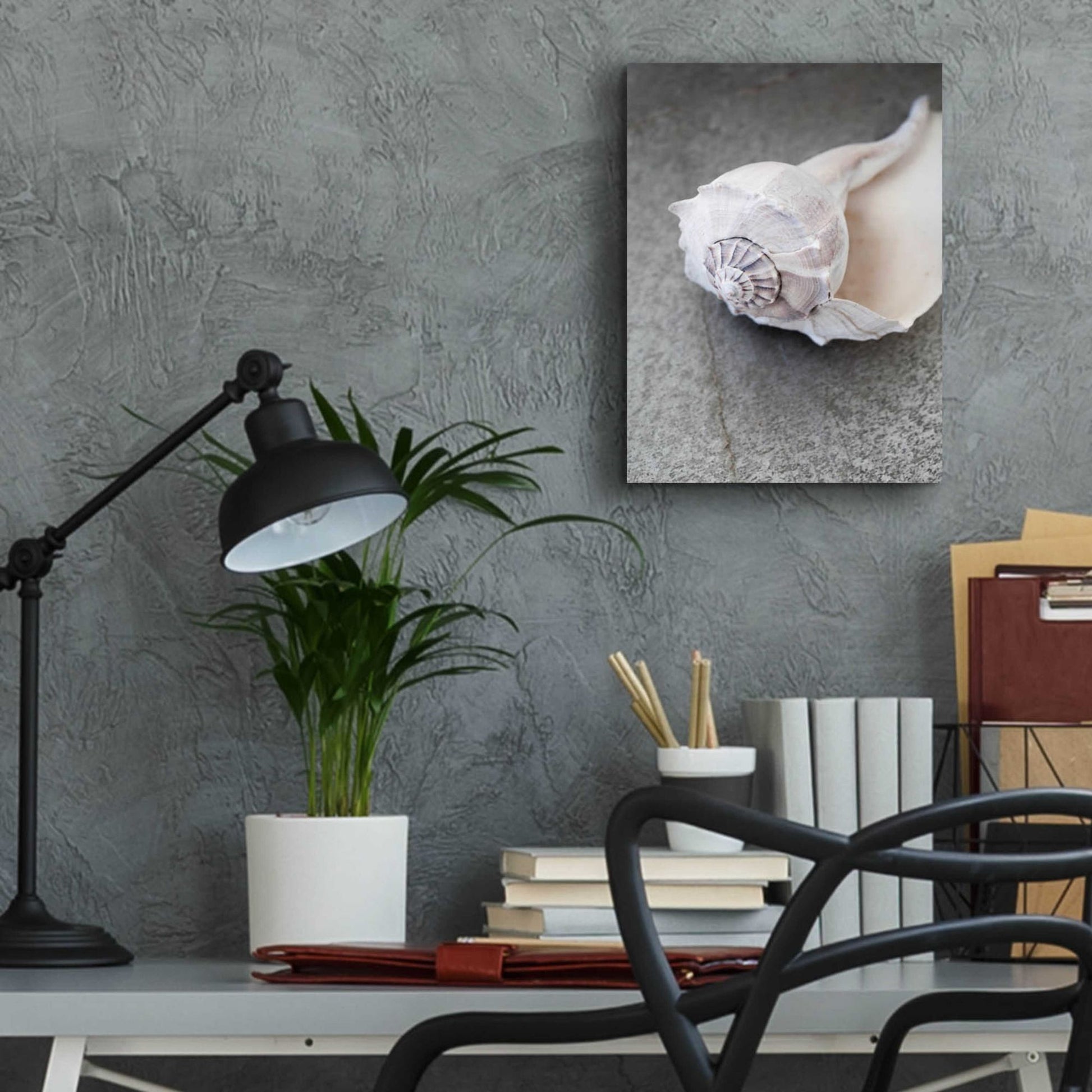 Epic Art 'Conch on Grey Stone' by Elena Ray, Acrylic Glass Wall Art,12x16