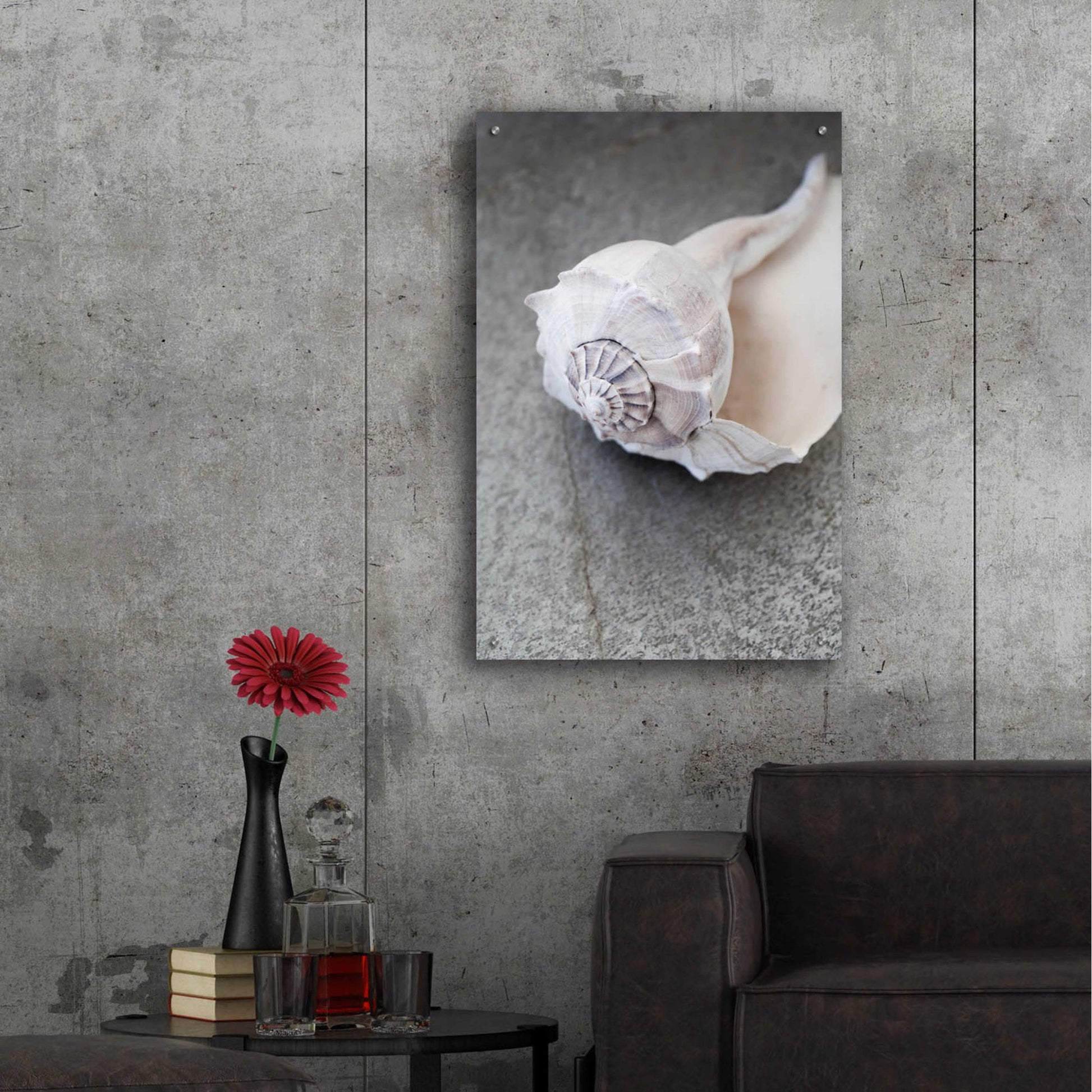Epic Art 'Conch on Grey Stone' by Elena Ray, Acrylic Glass Wall Art,24x36