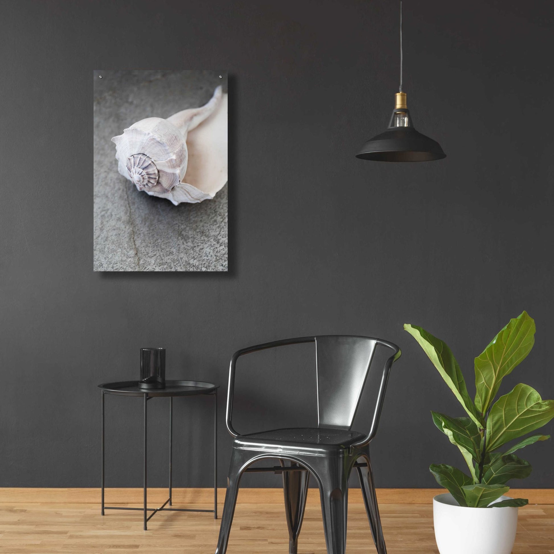 Epic Art 'Conch on Grey Stone' by Elena Ray, Acrylic Glass Wall Art,24x36
