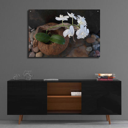 Epic Art 'Orchid Flowers' by Elena Ray, Acrylic Glass Wall Art,36x24