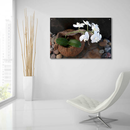 Epic Art 'Orchid Flowers' by Elena Ray, Acrylic Glass Wall Art,36x24