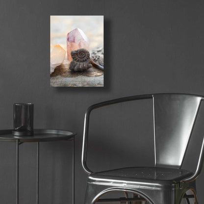 Epic Art 'Crystal and Fossil' by Elena Ray, Acrylic Glass Wall Art,12x16