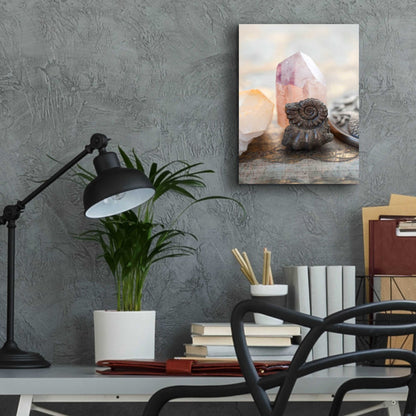 Epic Art 'Crystal and Fossil' by Elena Ray, Acrylic Glass Wall Art,12x16