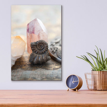 Epic Art 'Crystal and Fossil' by Elena Ray, Acrylic Glass Wall Art,12x16