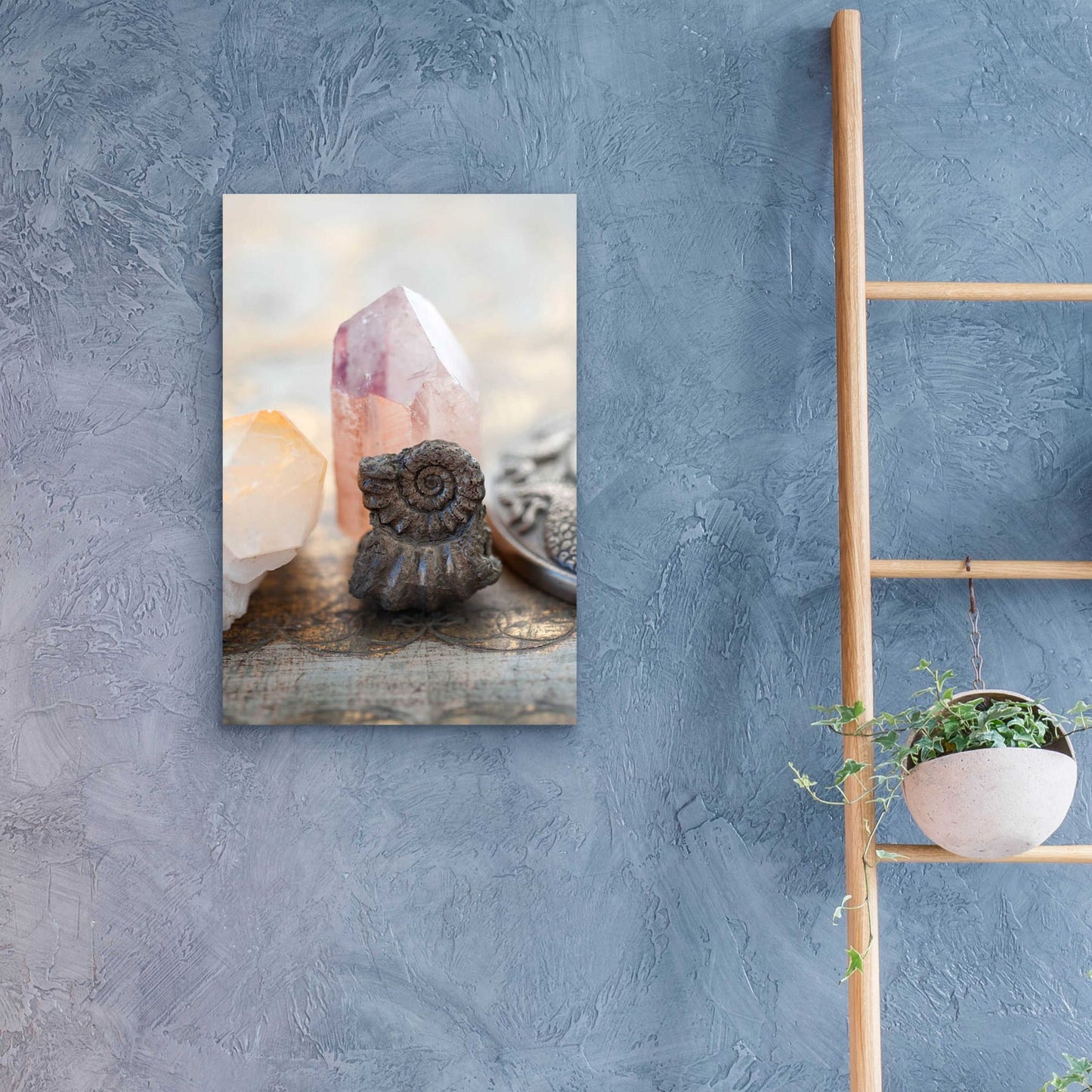 Epic Art 'Crystal and Fossil' by Elena Ray, Acrylic Glass Wall Art,16x24