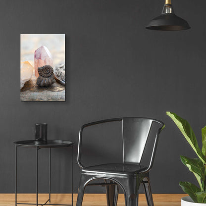 Epic Art 'Crystal and Fossil' by Elena Ray, Acrylic Glass Wall Art,16x24