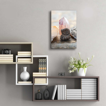 Epic Art 'Crystal and Fossil' by Elena Ray, Acrylic Glass Wall Art,16x24