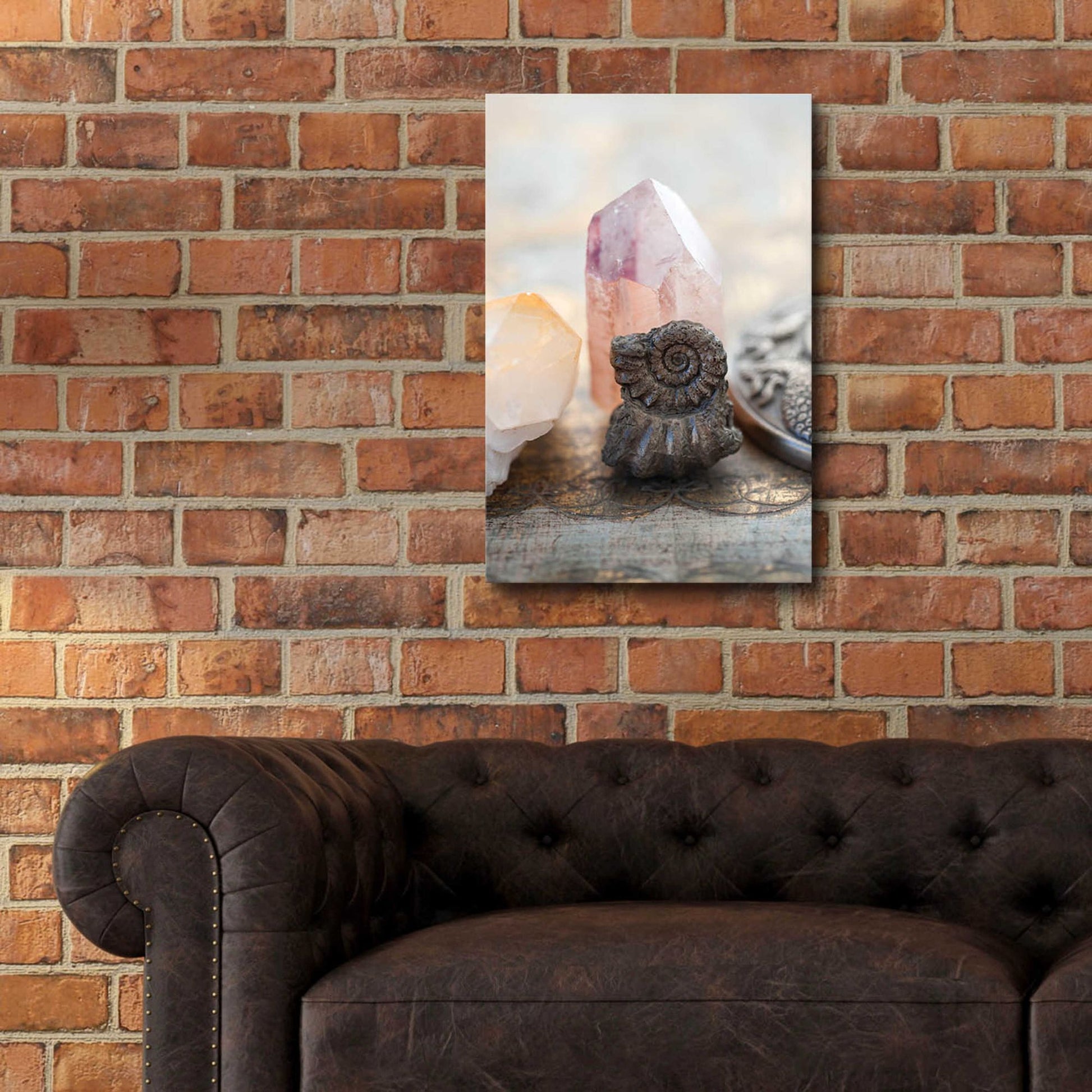 Epic Art 'Crystal and Fossil' by Elena Ray, Acrylic Glass Wall Art,16x24