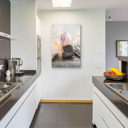 Epic Art 'Crystal and Fossil' by Elena Ray, Acrylic Glass Wall Art,24x36