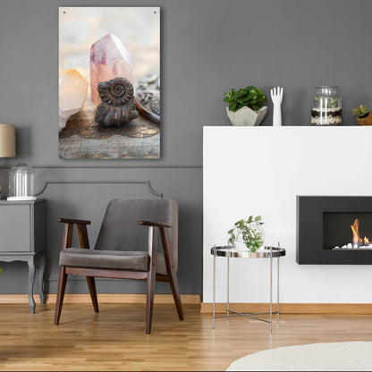 Epic Art 'Crystal and Fossil' by Elena Ray, Acrylic Glass Wall Art,24x36